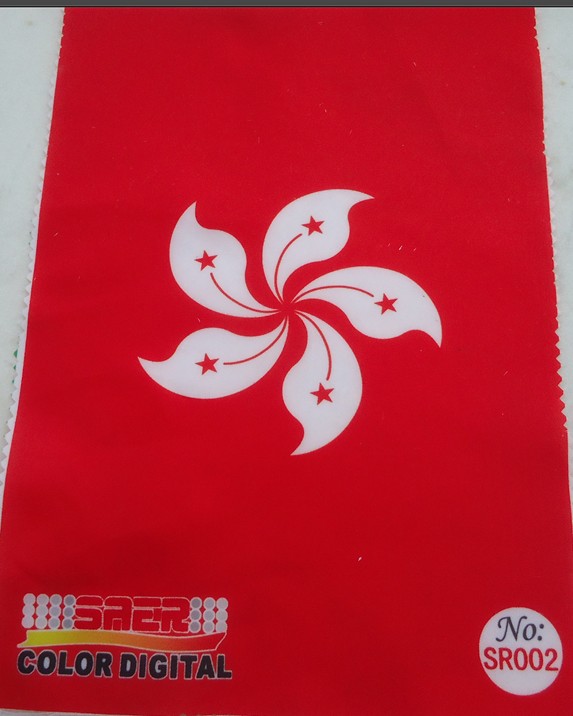 Tinta directa de la sublimación de la materia textil DX5 del color de CMYK para la fabricación de la bandera 2