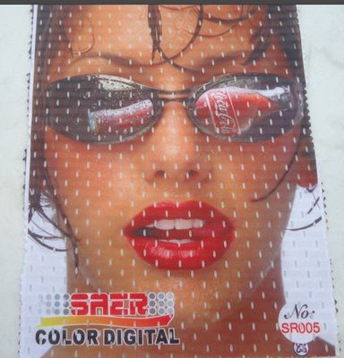 CSR 3200 de Saer de la máquina de la impresora de la bandera de Singapur de la impresora del formato grande