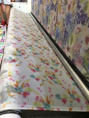 El ordenador de la impresora de la tela de Digitaces del software del ónix controla directamente salida