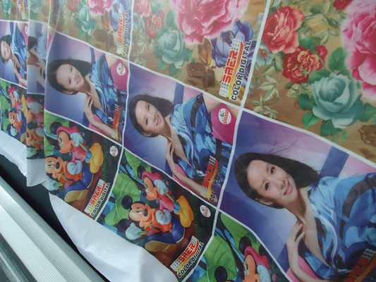 Cortina 100% de Windows del poliéster/tela 110-250 G/G/M de la bandera