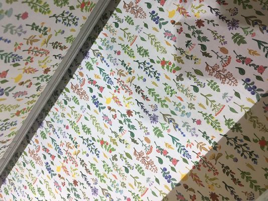 Rollo de la impresora de la bandera de la impresora de materia textil del chorro de tinta de Digitaces para rodar el tipo