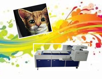 La impresora de la camiseta de Digitaces dirige a la impresora de la ropa con 8 cabezas de impresión de RICOH