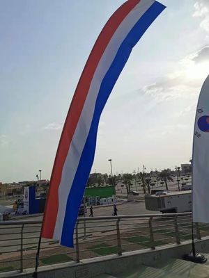 Voltaje de alta resolución 110V/220V de la impresora de la sublimación del formato grande para las banderas